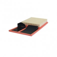 FILTRON AP 183/3 (C 3880) Фильтр воздушный