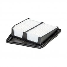 FILTRON AP 102/7 Фильтр воздушный (Accord 2.4)
